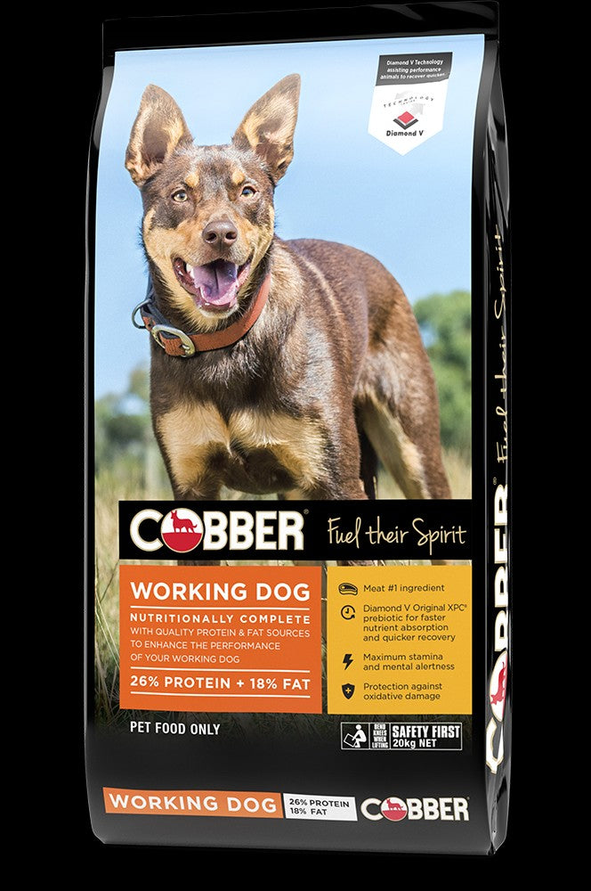 Cobber working sale dog 20kg