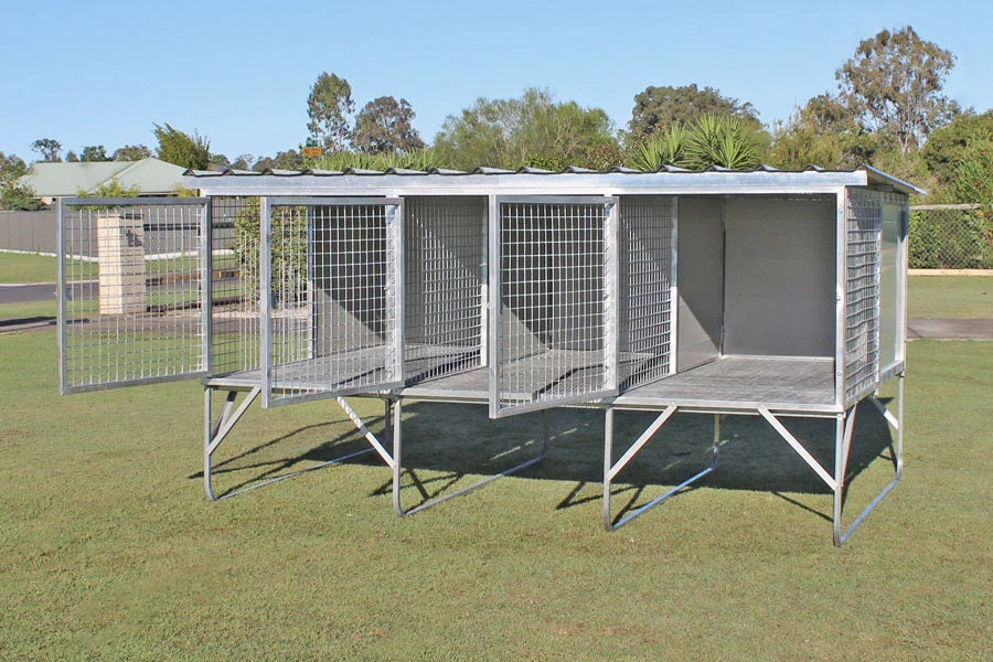 Raised store dog pens