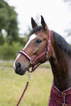 HORZE PHYSICAL SOPHISTICATION HALTER SET - BURGUNDY BROWN [SZ:PONY]