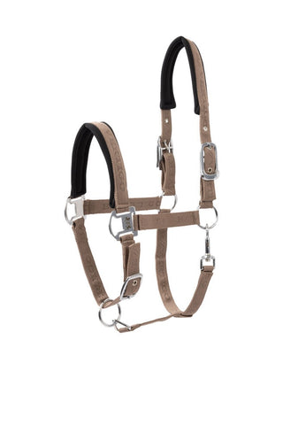 Halters & Leads